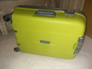 The back of the suitcase