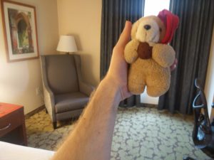Me holding up Teddy in the hotel room