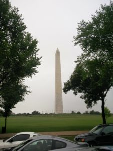 The Washington Monument, nearly covered by trees