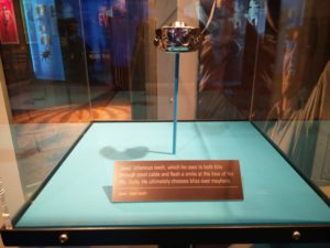 The teeth used by the character Jaws